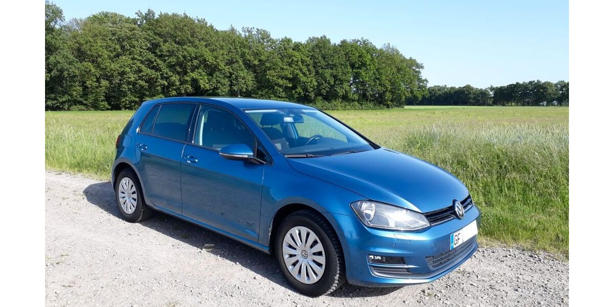 VW Golf 81.500 km 9.800 &euro; Allerbüttel 38547