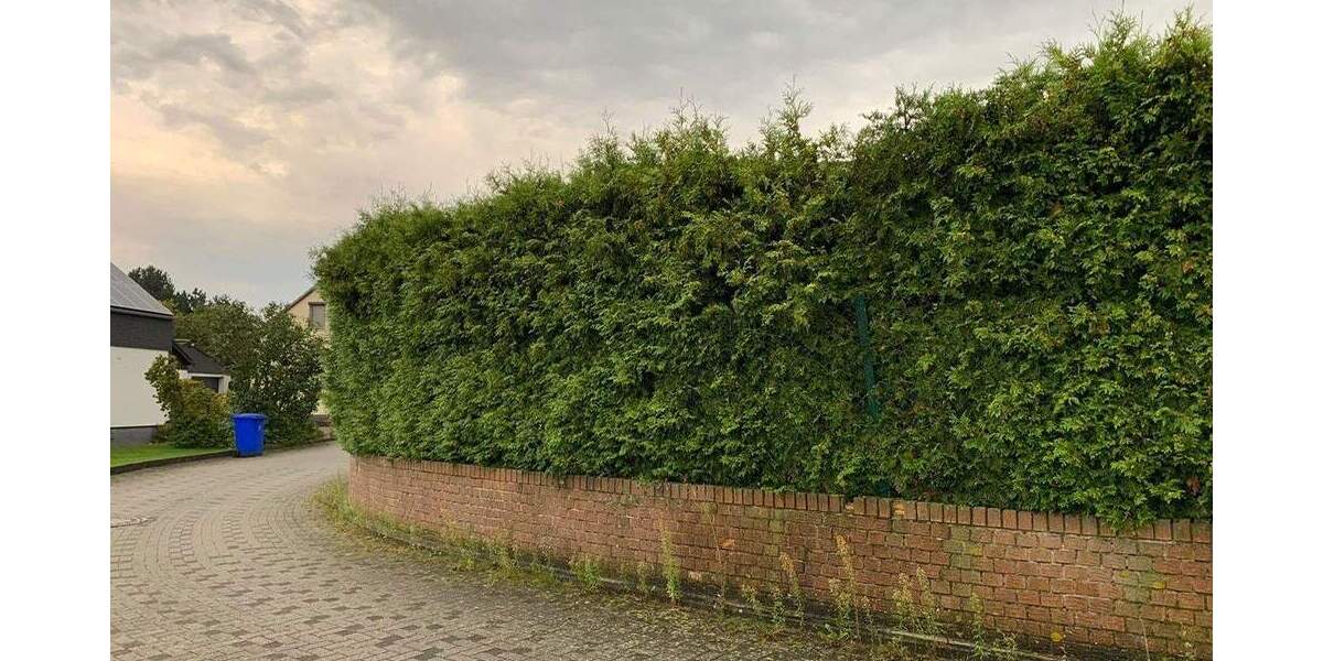 Reihenendhaus Büren - 5 Zimmer, 100 m&sup2;, 233.000&euro; | Angebot:24212473