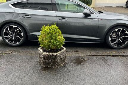 Audi A5 168.000 km 22.999 &euro; Netphen 57250