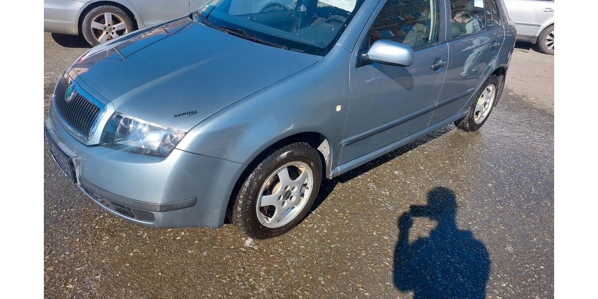 Skoda Fabia 169.168 km 1.300 &euro; Plauen 08523