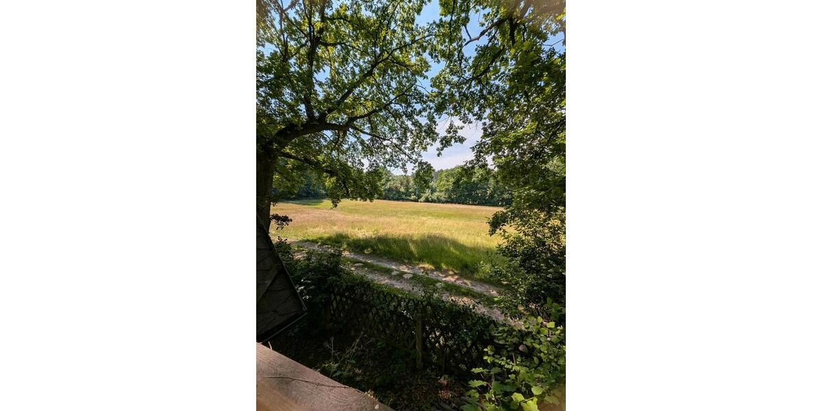 Grundstück Rochlitz - 35.000&euro; | Angebot:25291220
