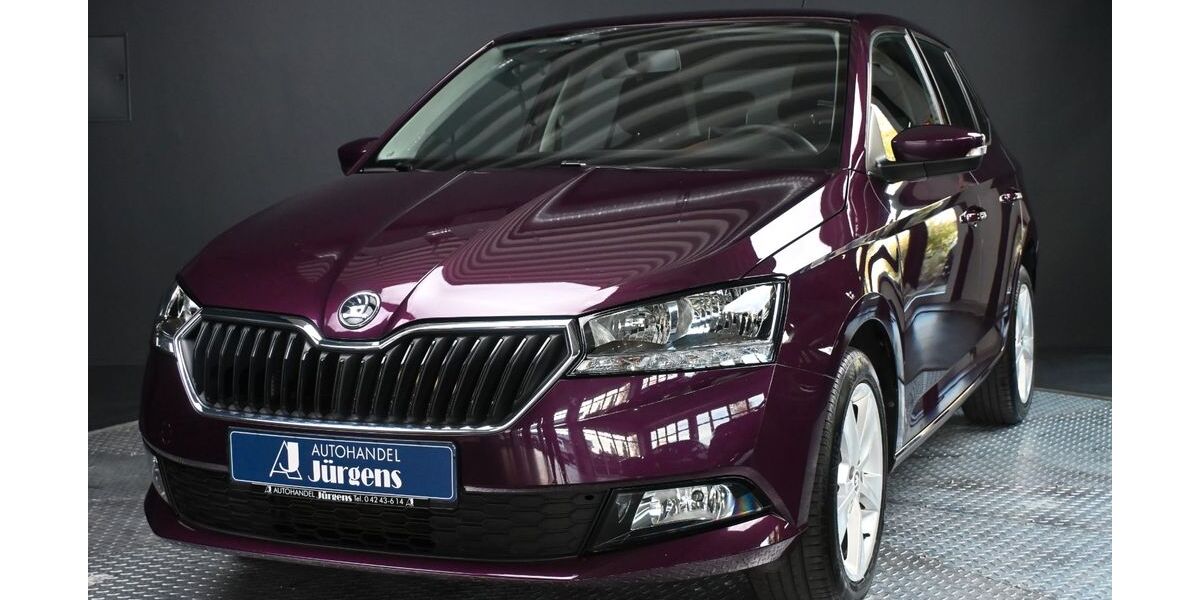 Skoda Fabia 41.451 km 11.990 &euro; Twistringen, Deutschland 27239