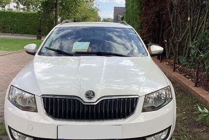 Skoda Octavia 247.240 km 5.000 &euro; Hassendorf 27367