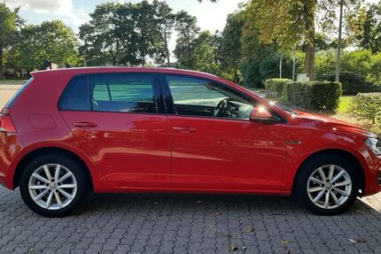 VW Golf 75.000 km 10.900 € Rühen 38471