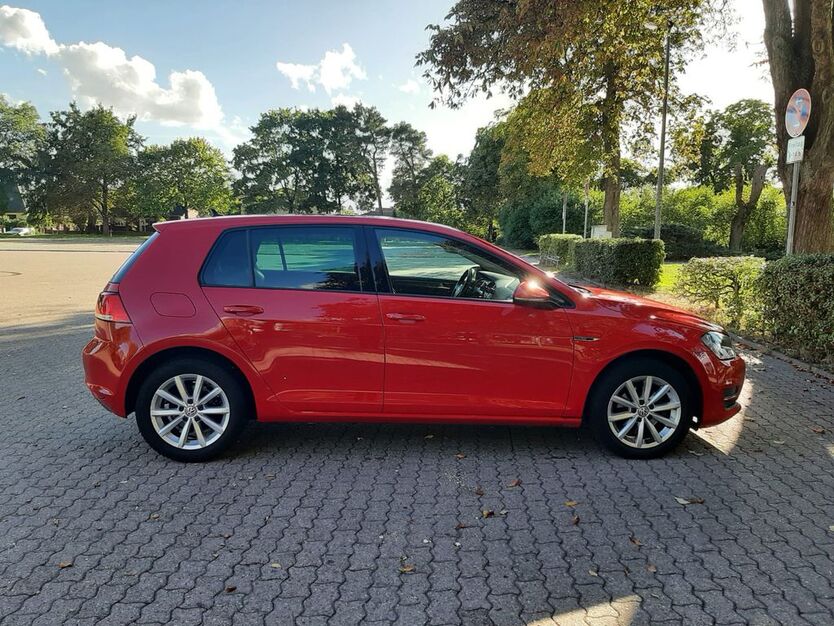 VW Golf 75.000 km 10.900 € Rühen 38471
