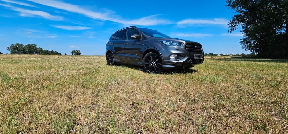 Kuga