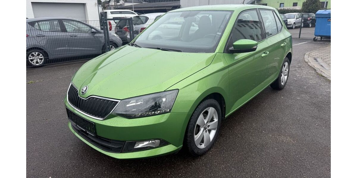 Skoda Fabia 158.000 km 6.900 &euro; Bad Dürkheim 67098