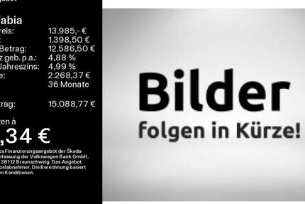 Skoda Fabia 15.000 km 13.985 € Büdingen-Düdelsheim 63654