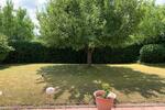 Einfamilienhaus Burgebrach - 6 Zimmer, 615.000&euro; | Angebot:20316157