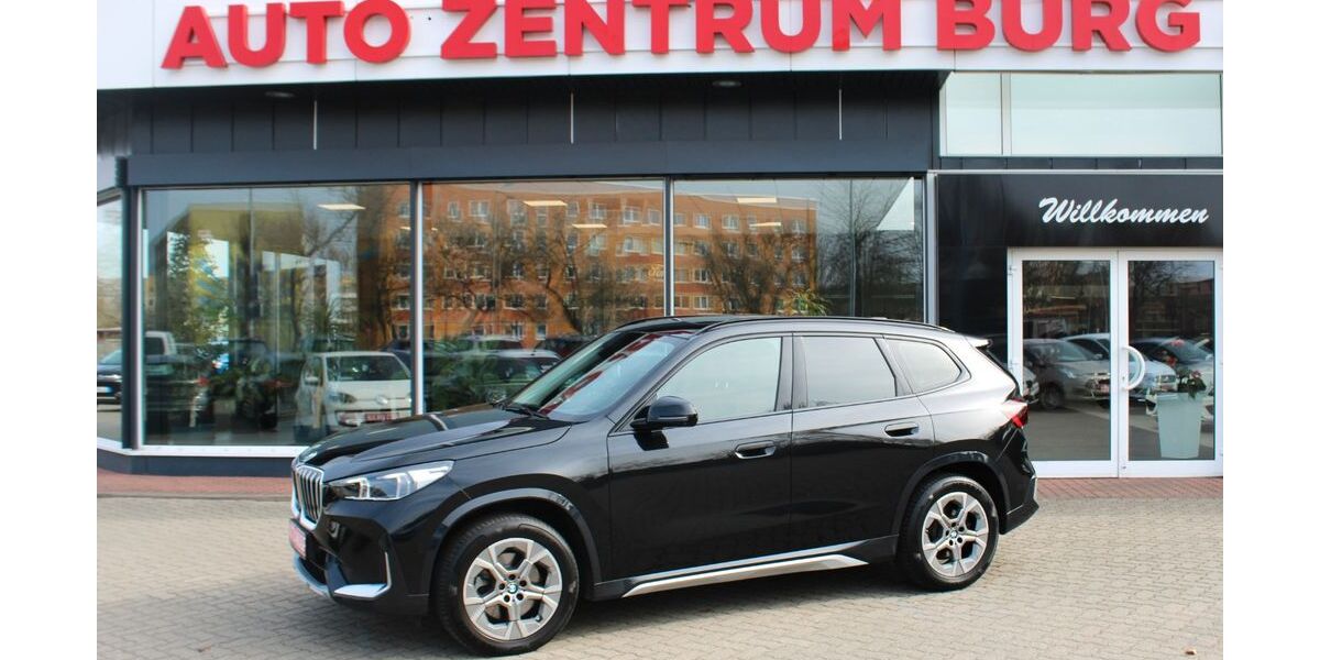 BMW X1 51.866 km 46.950 &euro; Burg 39288