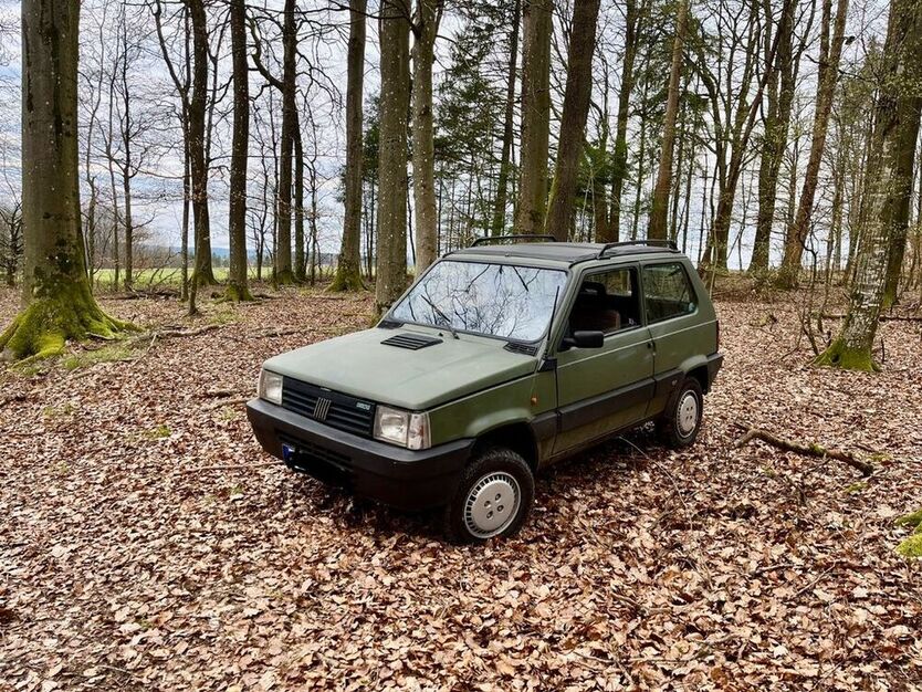 Panda