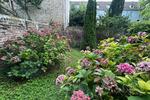Freies Apartment mit Gartenblick, provisionsfrei, BN-Weststadt