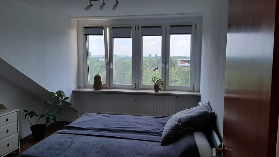 Dachgeschoßwohnung Frankenthal (Pfalz) - 2 Zimmer, 64 m&sup2;, 590&euro; | Angebot:26395673