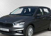 Gebrauchtwagen Skoda Fabia