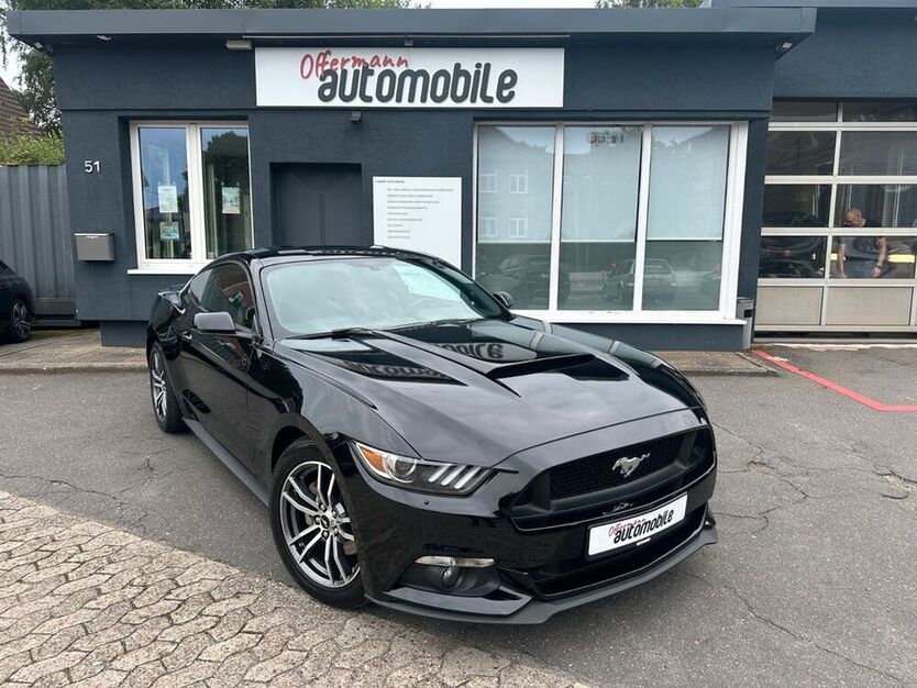 Mustang