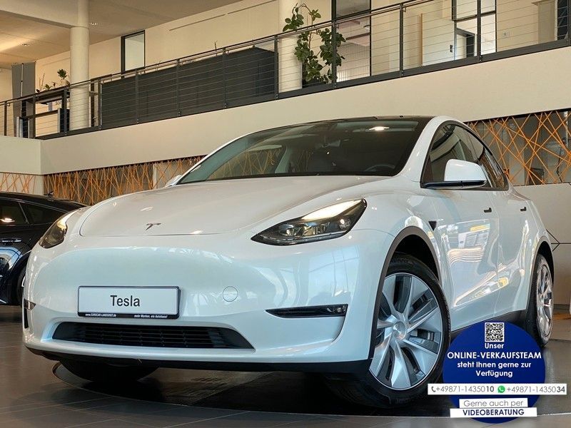 Model Y