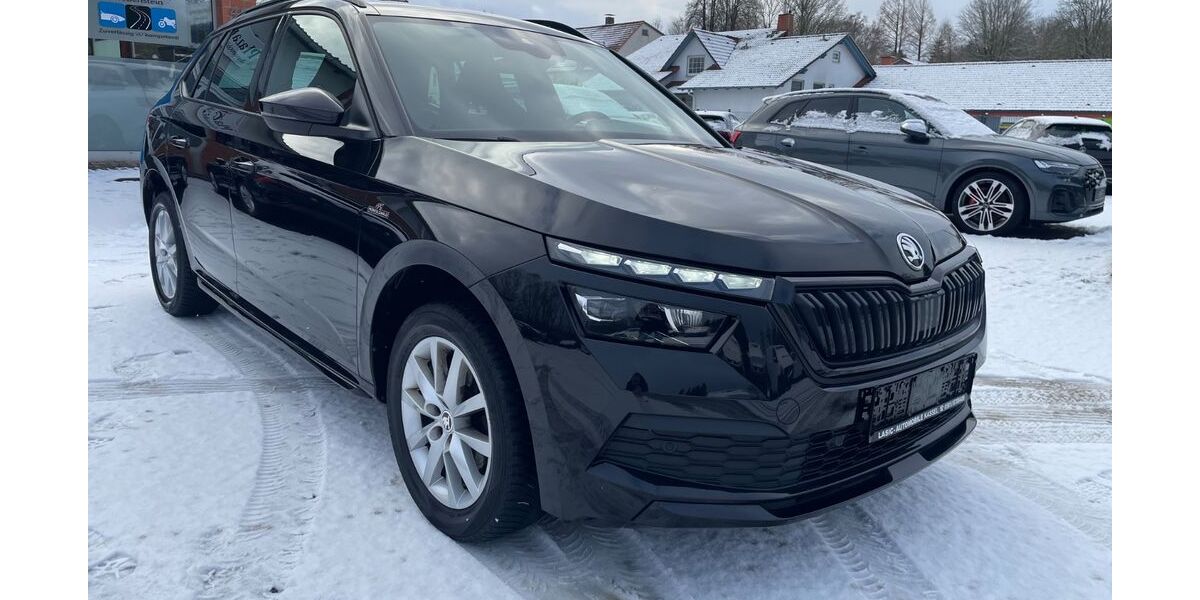 Skoda Kamiq 88.500 km 14.590 &euro; Grebenstein 34393