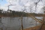 Ein Wald- und Wassergrundstück als perfekter Rückzugsort fürs Wochenende - Grundstück Grünheide (Mark) | Angebot:17331091