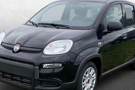 Fiat Panda 14.000 km 14.990 &euro; Delbrück-Westenholz 33129