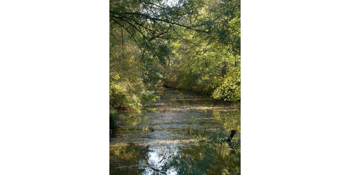 Grundstück Fürstenfeldbruck - 1.290.000&euro; | Angebot:26276075