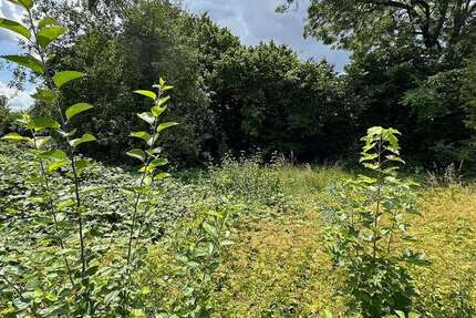 Grundstück zu verkaufen in Augsburg 384.900 € 600 m² zimmer