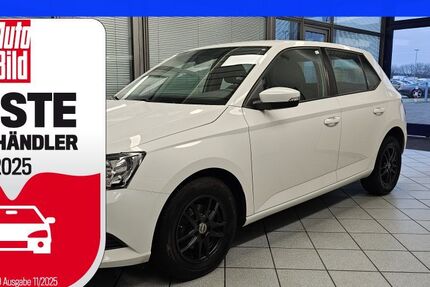 Skoda Fabia 89.500 km 8.400 &euro; Wolfsburg-Heiligendorf 38444