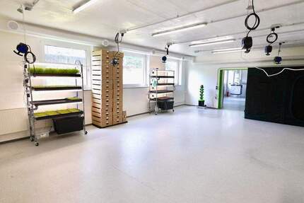 Über 2 Etagen - EG und UG mit Rampe und Garage - ProduktionBüroLagerAusstellungVerkauf zimmer