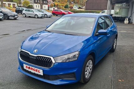 Skoda Fabia 36.800 km 15.370 € Bad Elster 08645