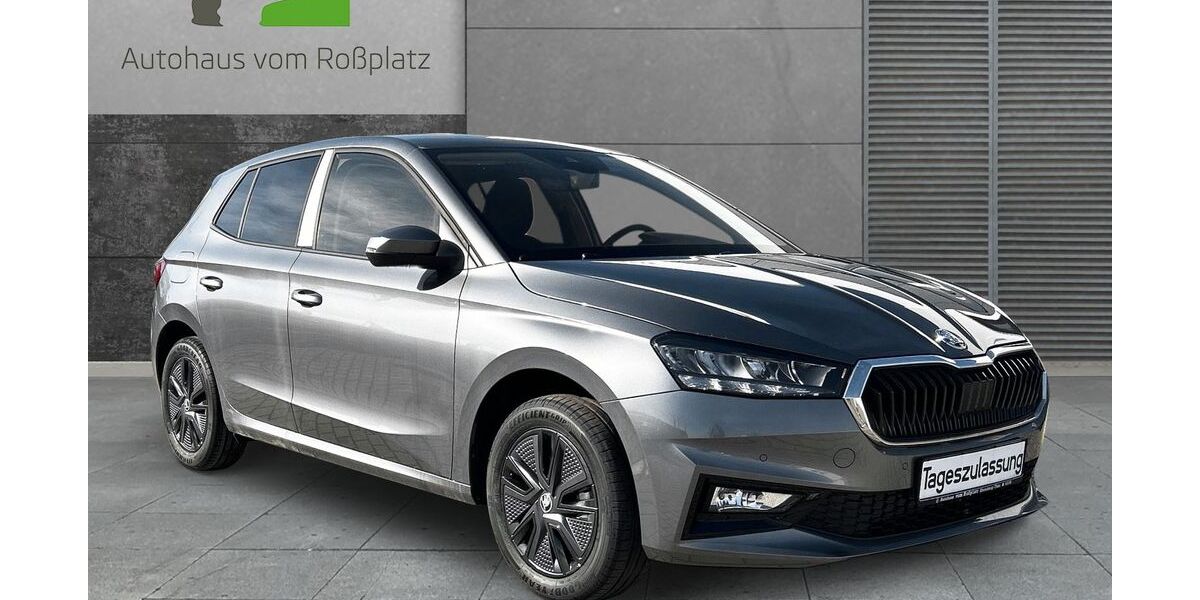 Skoda Fabia 8.000 km 23.800 &euro; Eisenberg 07607