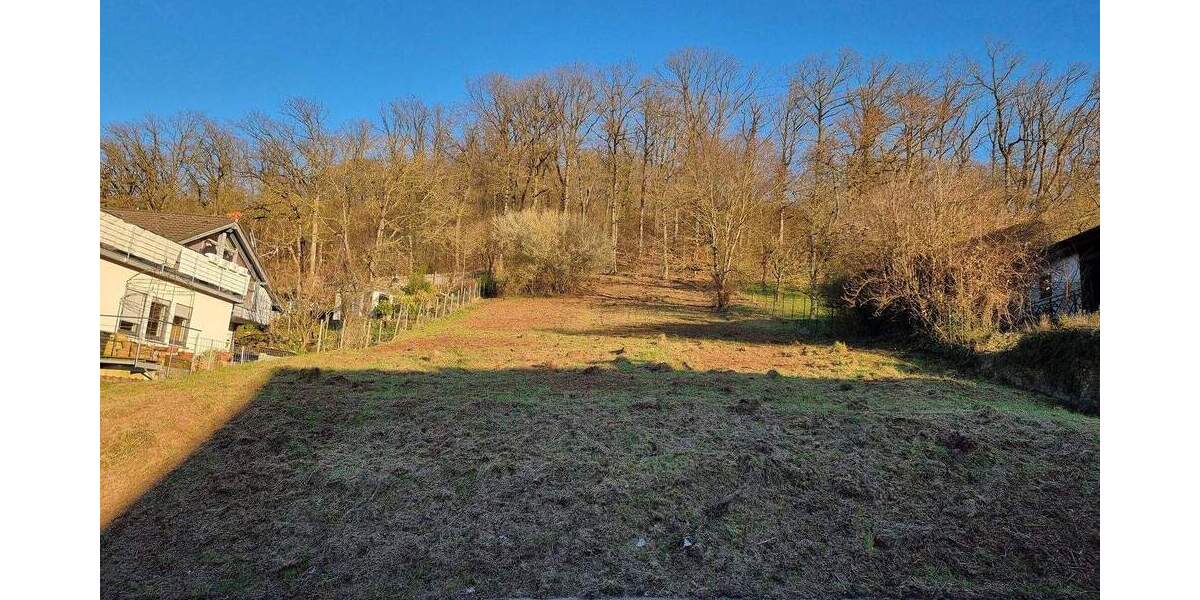 Grundstück zum Kauf provisionsfrei zimmer