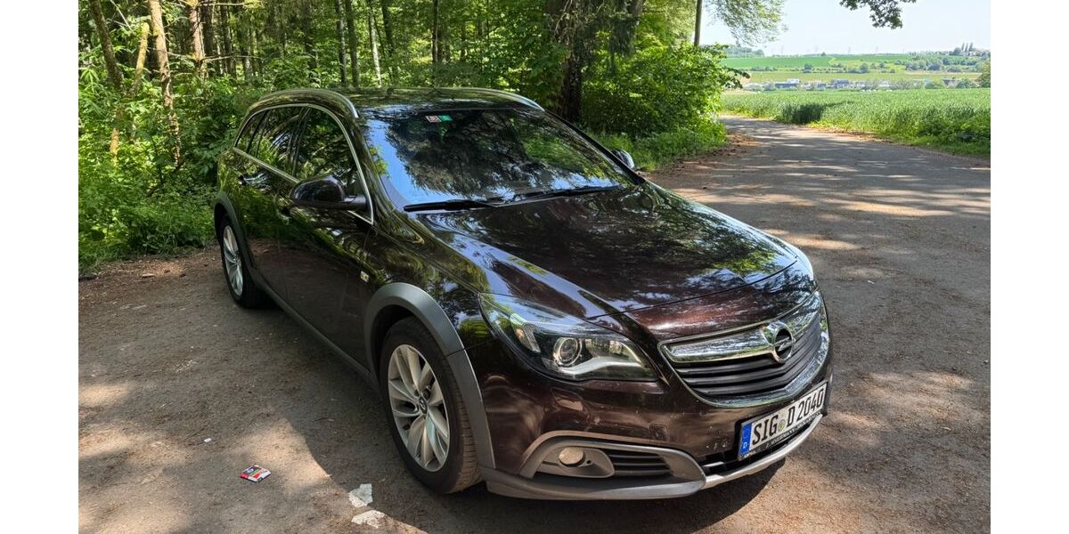 Opel Insignia 215.000 km 7.100 &euro; Pfullendorf 88630