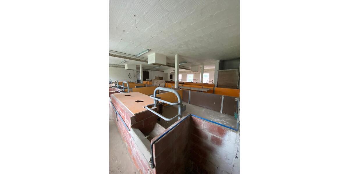 Gewerbeobjekt Sibbesse - 1.500&euro; | Angebot:26614260