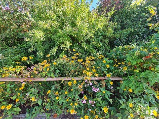 Etagenwohnung Buchholz - 2 Zimmer, 51 m&sup2;, 120.000&euro; | Angebot:26291948