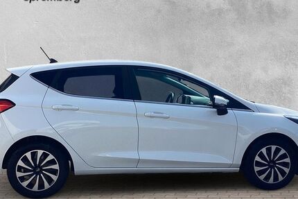 Ford Fiesta 79.500 km 13.450 &euro; Spremberg (bei Cottbus) 03130
