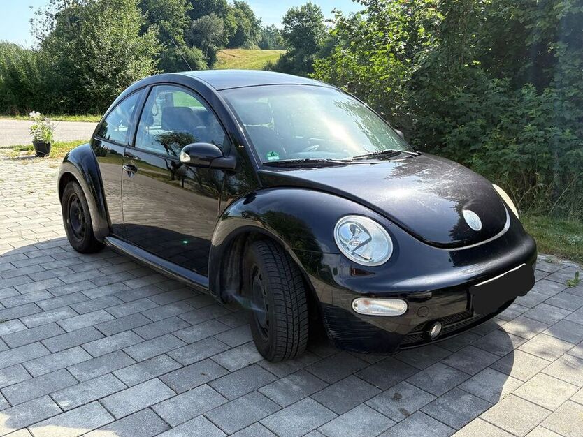 Beetle