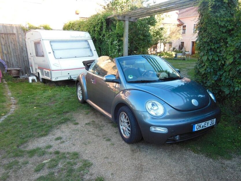 Beetle