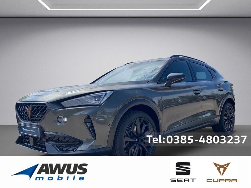 Cupra Formentor 9.500 km 40.890 € Schwerin 19057