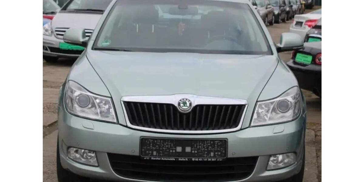 Skoda Octavia 110.000 km 7.499 € Bad Lauchstädt 06246