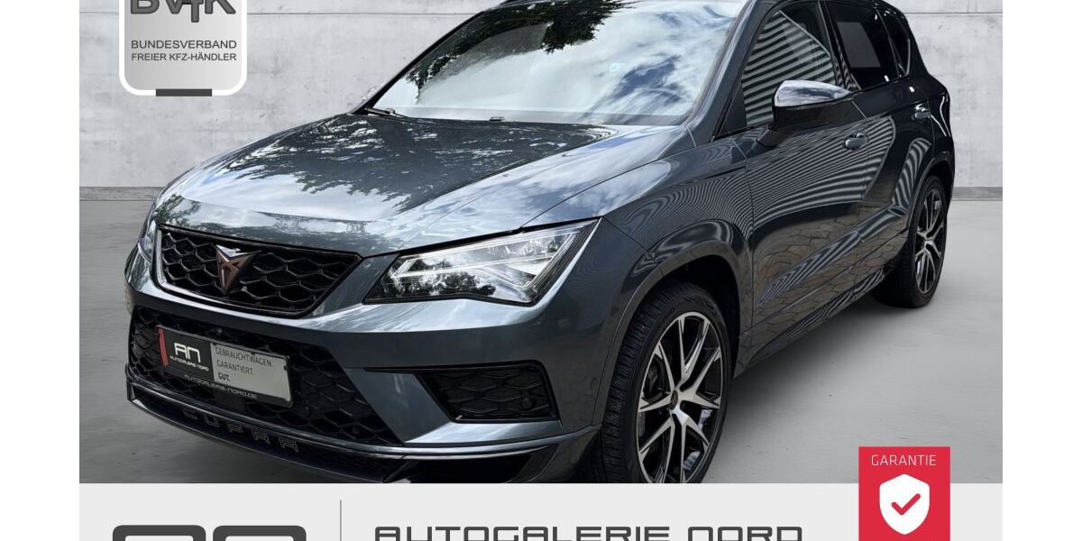 Cupra Ateca 159.500 km 21.900 &euro; Stelle 21435