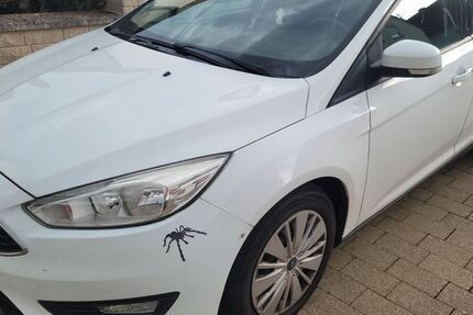 Ford Focus 120.000 km 5.300 &euro; Ebertsheim 67280