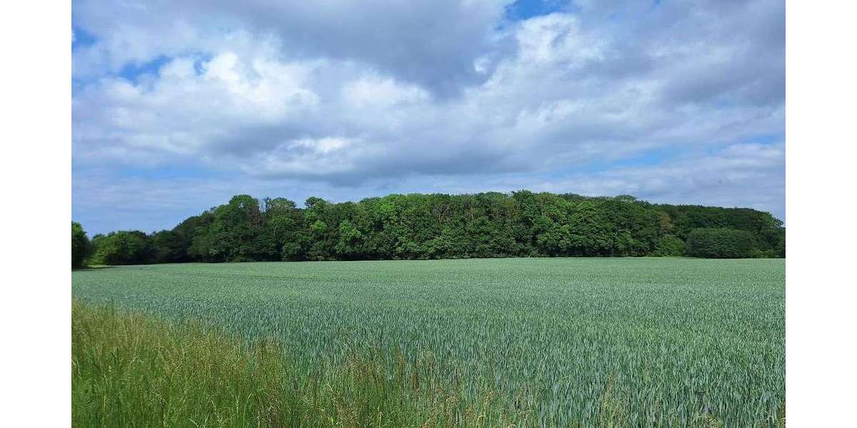 Grundstück Greifswald Groß Schönwalde - 230.000&euro; | Angebot:27165506