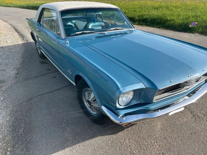 Mustang
