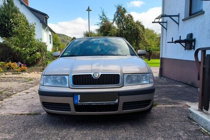 Skoda Octavia 249.109 km 1.600 € Ralingen 54310
