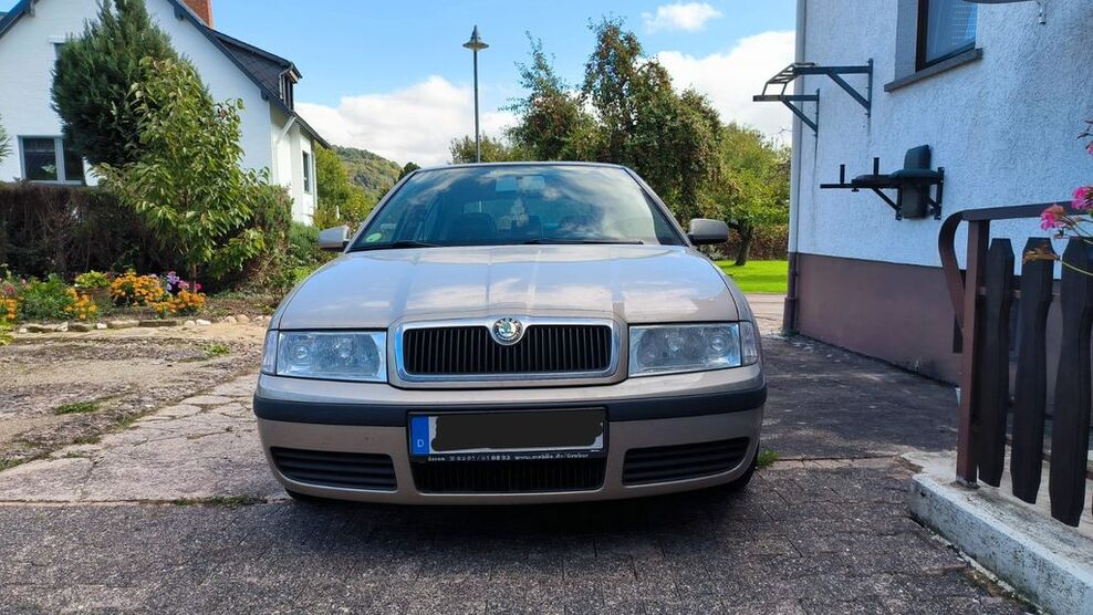 Skoda Octavia 249.109 km 1.600 € Ralingen 54310