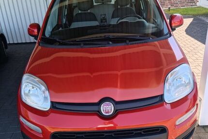 Fiat Panda 126.380 km 4.100 &euro; Hechthausen 21755