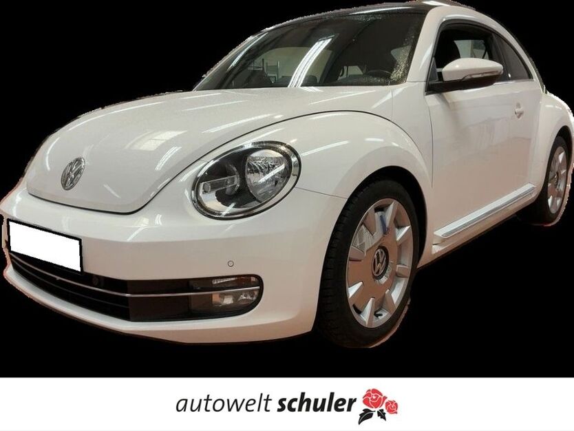Beetle