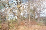 Gebotsverfahren: Waldgrundstück mit ehemaligem Trinkwasserbehälter in Rhumspringe (Landkreis Göttingen) zu verkaufen zimmer