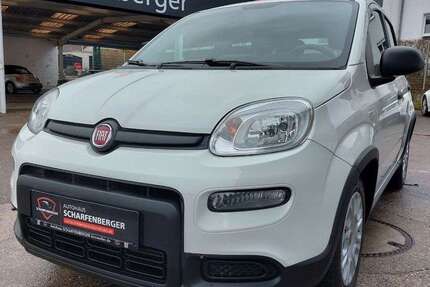 Fiat Panda 78.500 km 8.990 &euro; Annweiler am Trifels 76855