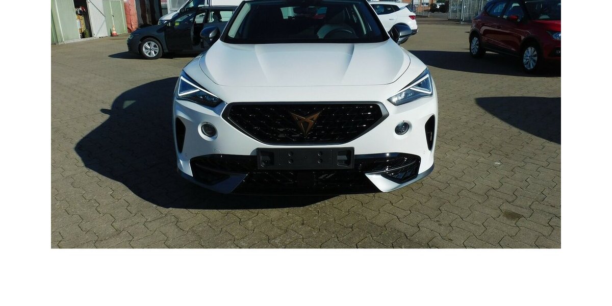 Cupra Formentor 1.5 TSI BMT Klima LED Navi 22.200 km 22.990 € Vordorf 38533