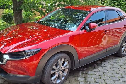 Mazda CX-30 95.000 km 18.400 € Schnaitsee 83530